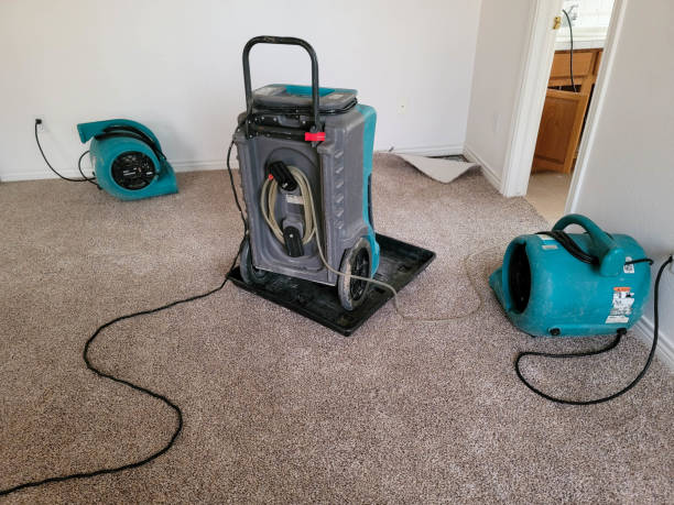 Best Flooded house restoration  in Akron, PA