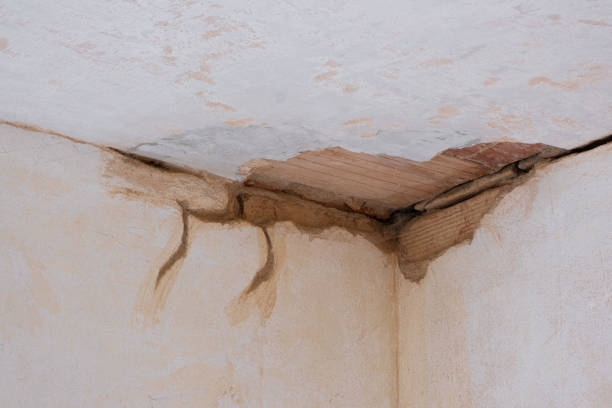Best Water damage restoration specialists  in Akron, PA