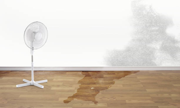 Best Professional water damage repair  in Akron, PA