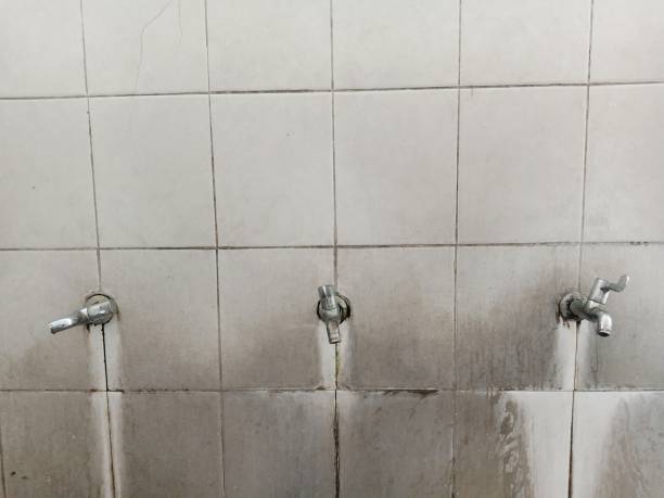 Best Water damage contractors near me  in Akron, PA